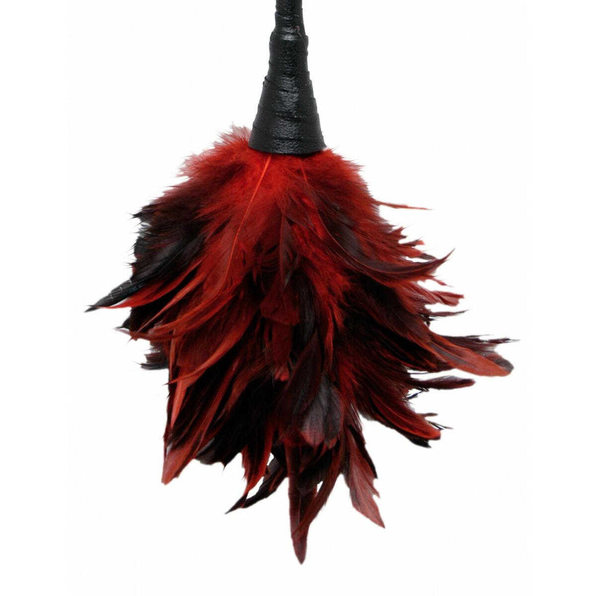 Plumas Eróticas Pipedream Fetish Fantasy Series Rojo